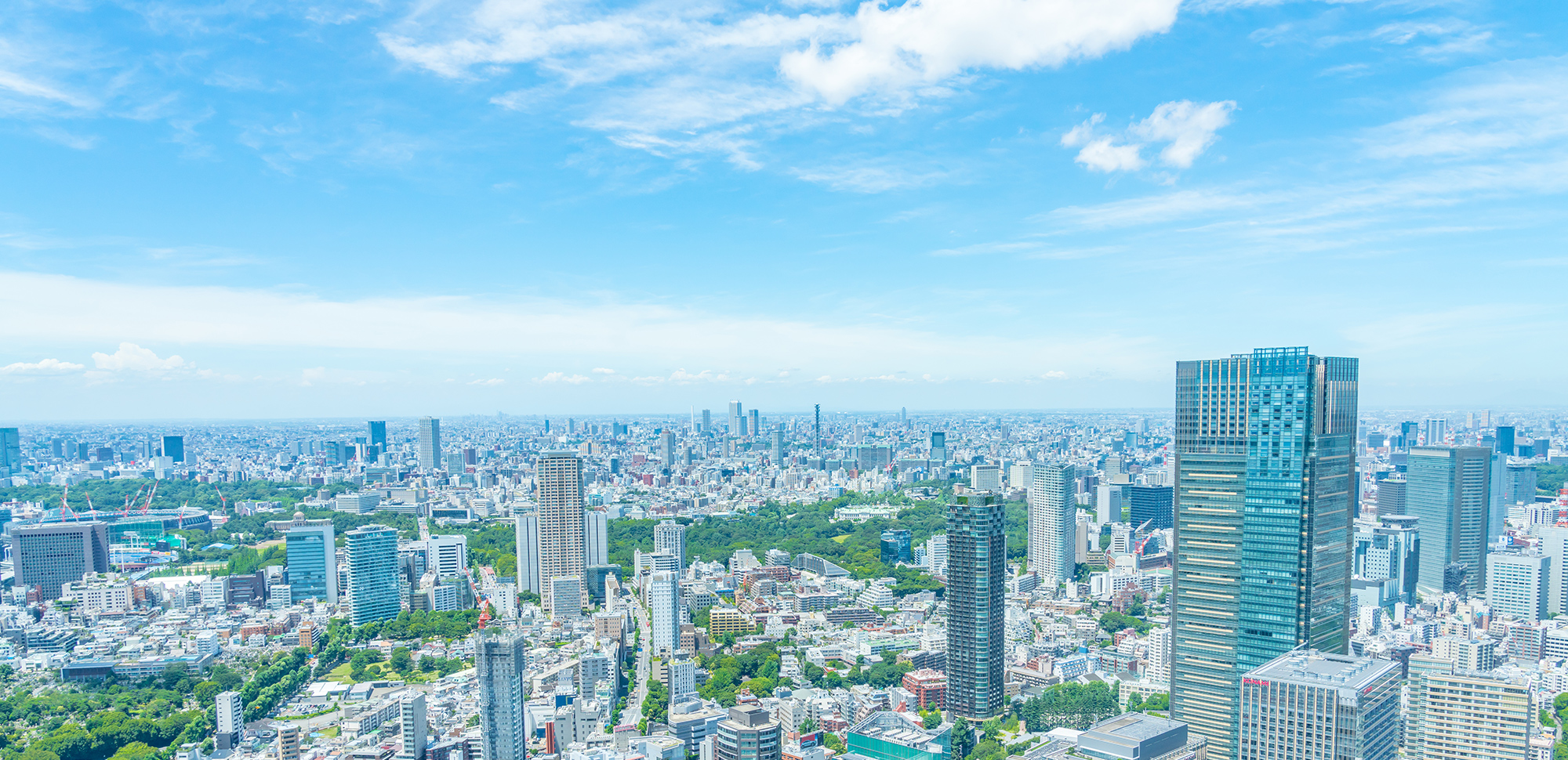 株式会社セイオーホーム